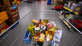 Penny und die deutsche Sprache