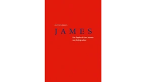 Die Festung, die nie einen  Angriff erlebte 