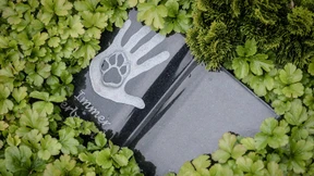 In Hamburg sind jetzt Mensch-Tier-Bestattungen möglich