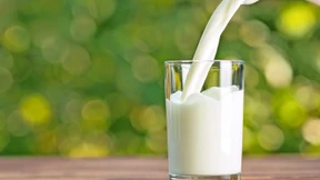 Was die Fusion der Molkereien Arla und DMK bedeutet