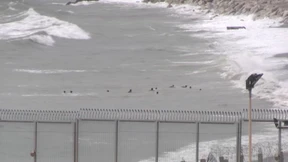 Schwimmend von Marokko nach Spanien