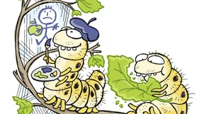 Du kriegst die Motten