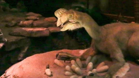 Waren Dinosaurier gute Eltern?