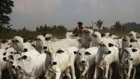 Mercosur-Abkommen liegt unterschriftsreif vor