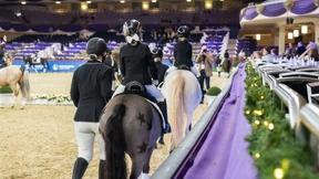 Pferde, Accessoires und ganz viele Lichter in der Gudd Stubb