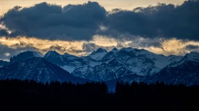Nach „Elon“ kommt „Felix“