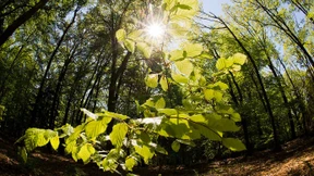 Pack die Sonne in den Tank