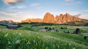 Wo der Frühling besonders fotogen ist
