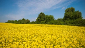 Der Kampf um eine sichere Heimat