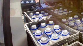 Rund 10.000 Milchbetriebe wollen Produktion kürzen