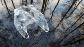 Lösen Mikroben unser Müllproblem?