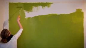 Mieter müssen bunte Wände wieder hell überstreichen