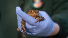 So ein Gemetzel soll es nicht noch einmal geben