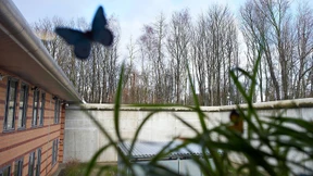 Karlsruhe setzt Grenzen für Zwangsbehandlung in Psychiatrie