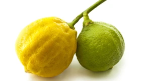 Bitter, noch bitterer – Bergamotte