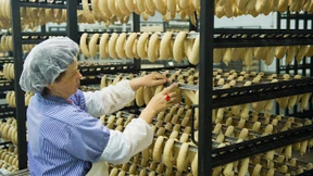 Koalition beschließt Sonderrecht für Grillwurst-Unternehmen