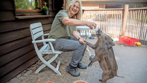 Frischling Sissi hat sich ins Leben gekämpft
