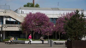 Zu viele Köche auf dem Kulturcampus