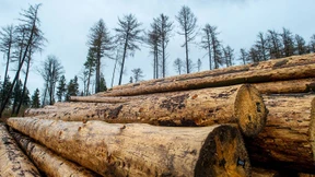 Pfälzer Paletten in Peking