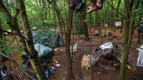 Im Wald der Widersprüche