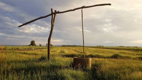 Erkältungstee gibt es nur für die Reben