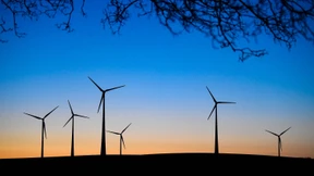 Windkraftanlagen töten täglich Milliarden Insekten