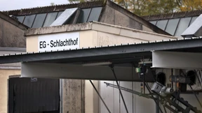 Angeklagte Tierärztin bemängelt Kontrollsystem