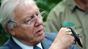 Er macht uns Staunen über die Wunder der Welt 