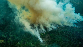 Rückblick auf das Extremwetter-Jahr 2019