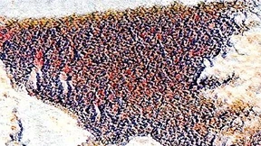 Laboratorien der Moderne?