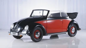 Eine „Autobiografie“ des Käfers