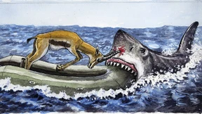 „Pushbacks“ in der Ägäis