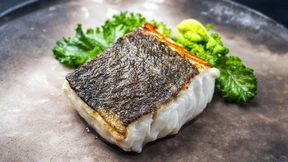 Das Gold der Lofoten