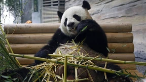 China an Deutschland: „Wir sind besorgt“