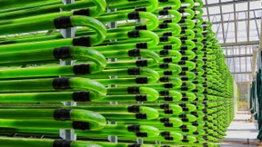 Kleine Krümel ganz groß