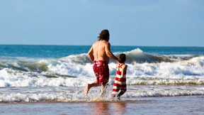 Hier reagiert Licht zu Energie