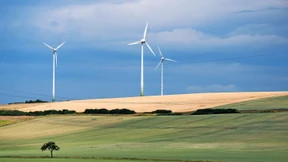 Warum es keine AfD-Aktien gibt