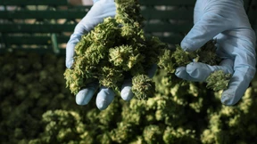 „Nicht zuschauen, wie Jugendliche ihre Zukunftsperspektiven verkiffen“