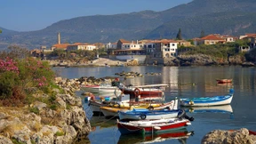 Kurzfristige Policen als Trend