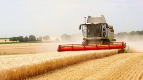 Erntezeit in Rheinhessen