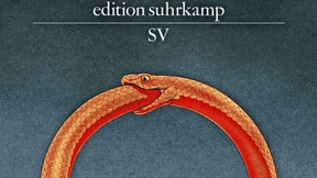 Überschüsse gibt es halt einfach