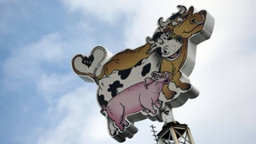 Kein Schwein kauft Veggie-Wurst