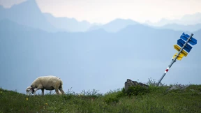 Du wirst  gelebt worden sein