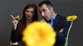 Der Grünstreifen am Horizont