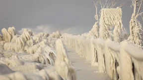 Sogar die Schaumkronen der Wellen frieren