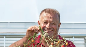 Paradeiser-Kaiser in seinem Paradies