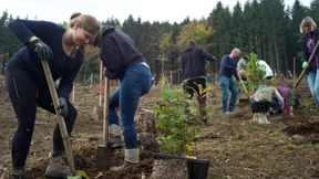 Wie motiviert man andere zum Klimaschutz?