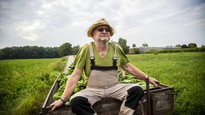 Handarbeit für den Hausstumpen