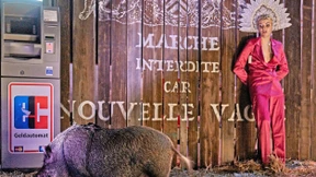 Dieses Schwein ist entzückend!