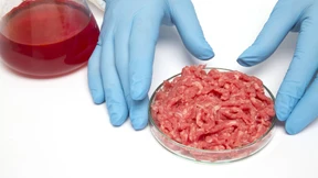 Das Essen kann nicht warten